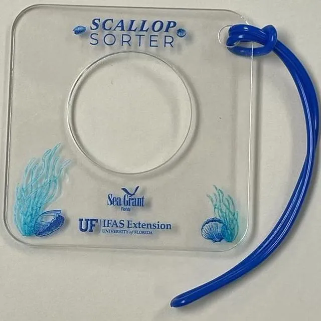 thumbnail for publication: Let ‘Em Grow: Scalloping Best Practices